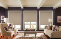 Roller Shades - Softer color makes space look bigger