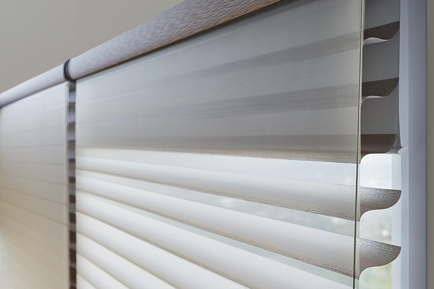 Bedroom Blinds Window Dual Shade Close Up - Fabric Vanes between 2 layers of sheer. A light blocking fabric rolls out from behind for sleep time and utmost privacy.