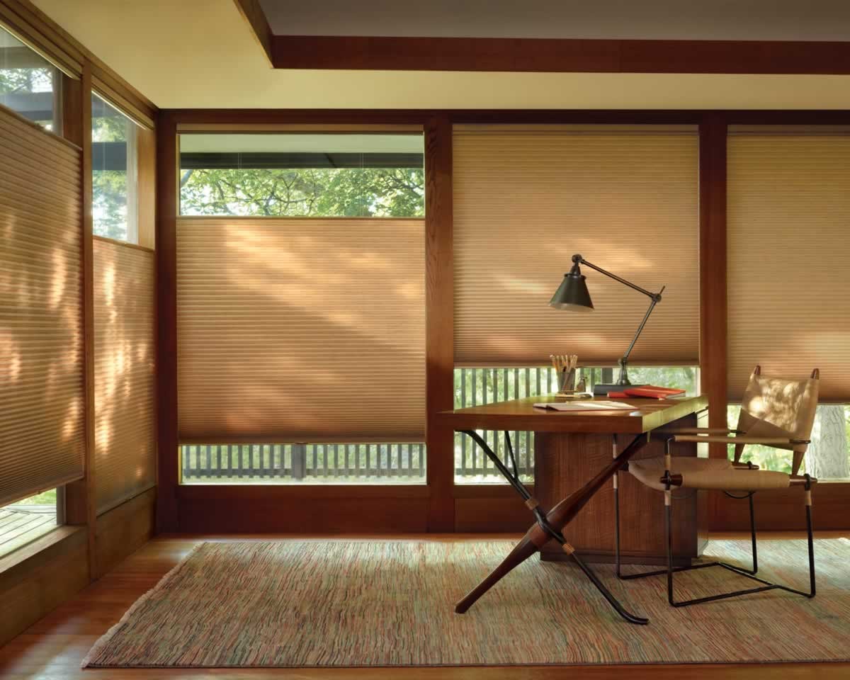 3 Must-Know Facts about Top-Down Bottom-Up Blinds