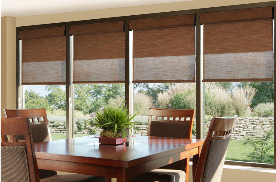 Dual Roller Shades Screen Shade and Light Blocking Shade