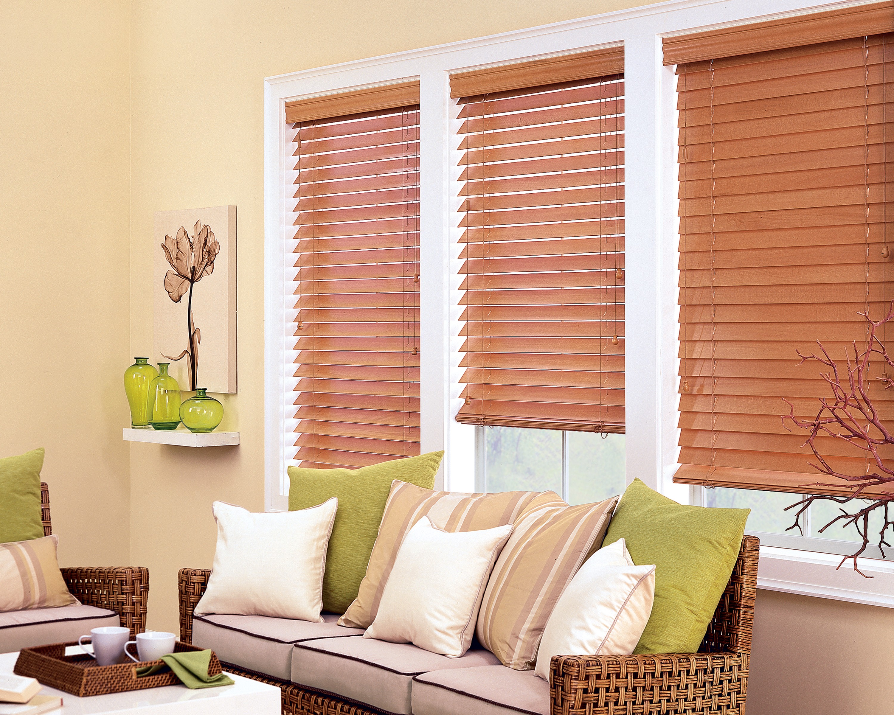 Wood Blinds - Living 1