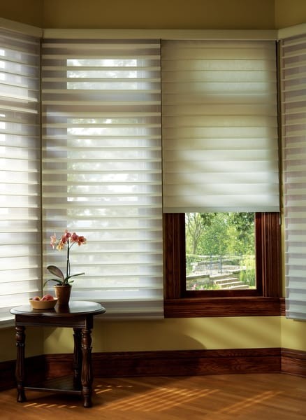 Silhouette Shade Privacy — Get privacy and open view-through. A white rear sheer provides privacy even when the fabric vanes are open