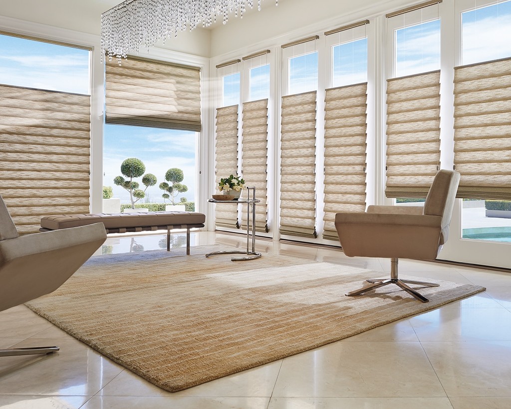 Modern Roman Shades in the Living Room